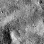 FC21B0016557_12003220204F1G.jpg