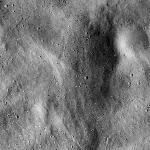 FC21B0016558_12003220449F1G.jpg
