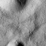 FC21B0016613_12005003109F1G.jpg