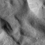 FC21B0016668_12005045132F1G.jpg