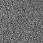 FC21B0016789_12005164911F1G.jpg