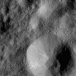 FC21B0016806_12005171624F1G.jpg