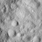 FC21B0016810_12005172125F1G.jpg