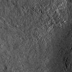 FC21B0016870_12008065533F1F.jpg