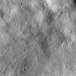 FC21B0016879_12008070904F1F.jpg