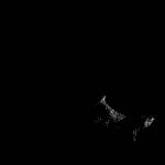 FC21B0016940_12008152017F1F.jpg