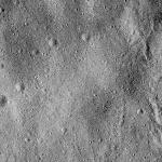 FC21B0016954_12008154418F1F.jpg