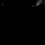 FC21B0017024_12010023403F1F.jpg