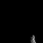 FC21B0017026_12010023733F1F.jpg