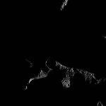 FC21B0017110_12010112434F1F.jpg