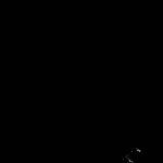 FC21B0017151_12010154909F1F.jpg