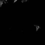 FC21B0017153_12010155239F1F.jpg