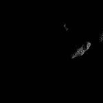 FC21B0017193_12011134730F1F.jpg