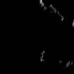 FC21B0017195_12011135101F1F.jpg