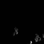 FC21B0017236_12011181549F1F.jpg
