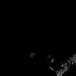 FC21B0017276_12011223458F1F.jpg