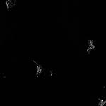 FC21B3017041_12022054103F1D.jpg