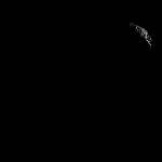 FC21B3017503_12026063735F1D.jpg