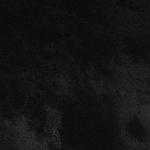 FC21B0018055_12036000600F1F.jpg
