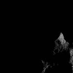 FC21B0018545_12038003846F1F.jpg