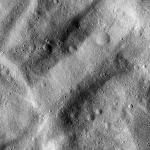 FC21B0018647_12038061754F4F.jpg