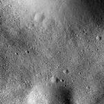 FC21B0018740_12038104713F2F.jpg