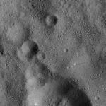 FC21B0020140_12050042651F1G.jpg