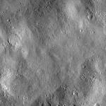 FC21B0020172_12050084420F4G.jpg