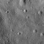 FC21B0020276_12050132424F2G.jpg
