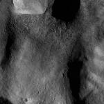 FC21B0020306_12050135157F2G.jpg