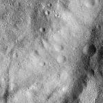 FC21B0020373_12050180254F2G.jpg
