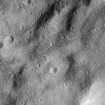 FC21B0020384_12050181125F2G.jpg