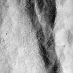 FC21B0020472_12050223941F4G.jpg