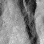 FC21B0020474_12050223957F2G.jpg