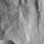 FC21B0020528_12051023930F2G.jpg