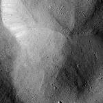 FC21B0020547_12051025830F2G.jpg