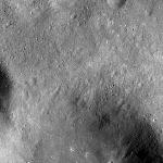 FC21B0020700_12052090827F2G.jpg