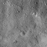 FC21B0020729_12052092651F3G.jpg
