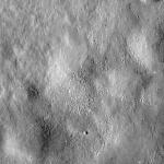 FC21B0020794_12052133815F4G.jpg