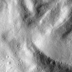 FC21B0021003_12052225824F4G.jpg