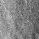 FC21B0022361_12066165220F1C.jpg