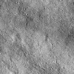 FC21B0022367_12066170120F1C.jpg