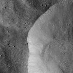 FC21B0022884_12079093732F1B.jpg