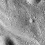 FC21B0022964_12080072600F1B.jpg