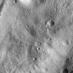 FC21B0023178_12083060941F1B.jpg