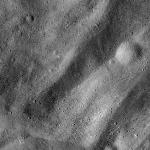 FC21B0024115_12092103425F1B.jpg