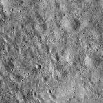 FC21B0024194_12092232548F1B.jpg