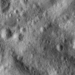 FC21B0024636_12096154144F1B.jpg