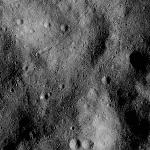 FC21B0024699_12099044653F1B.jpg