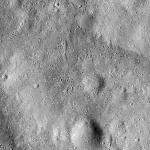 FC21B0024724_12099052821F1B.jpg